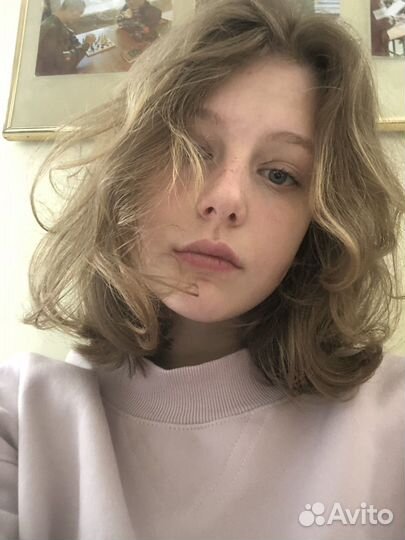 Передержка животных