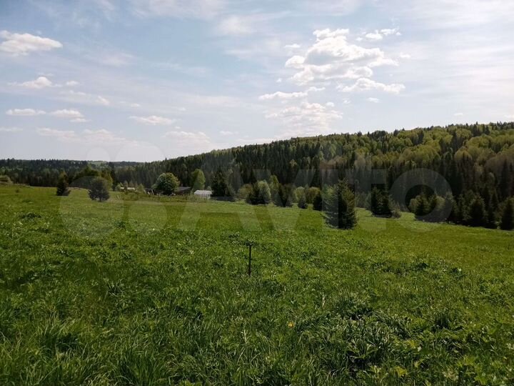 Участок 1,16 га (СНТ, ДНП)