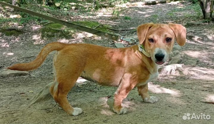 Жизнерадостная девочка