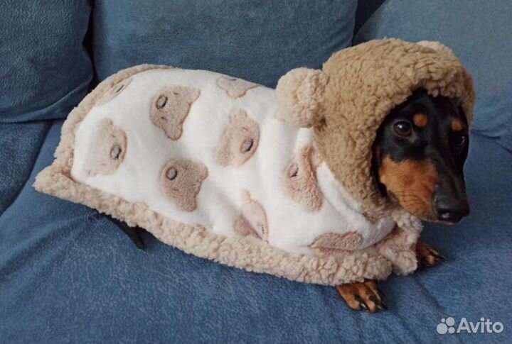 Пончо для собаки