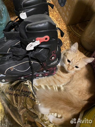 Роликовые коньки Oxelo 41 размер