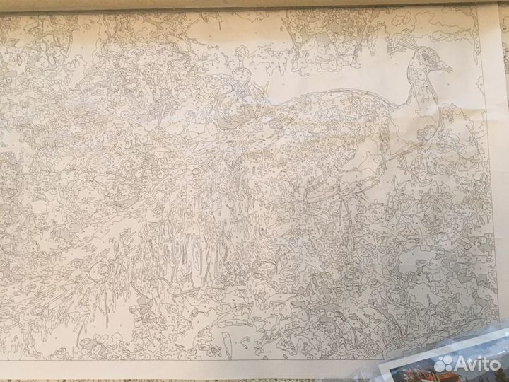 Раскраска по номерам