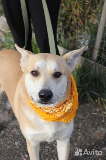 Ждёт свою семью