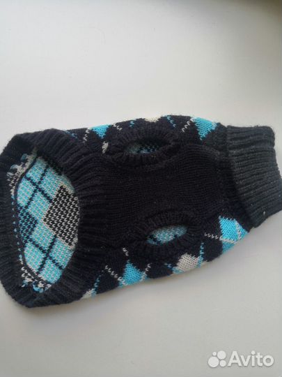 Одежда для кошки