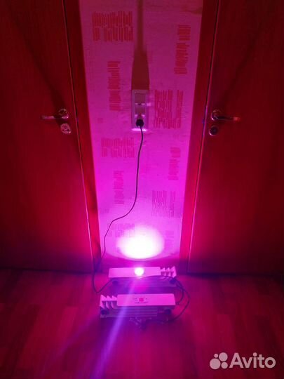 Фитолампа led 50 watt