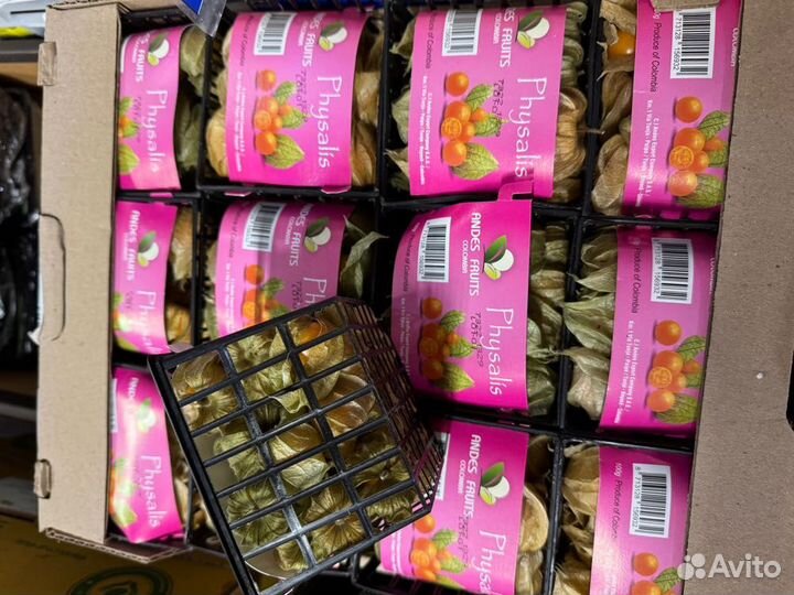 Физалис свежий