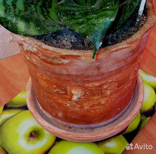 Кашпо керамика, 0,45 л