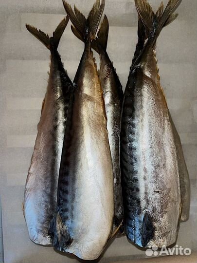 Красная рыба копченая