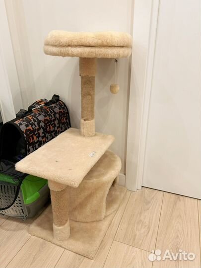 Когтеточка домик для кошки бу