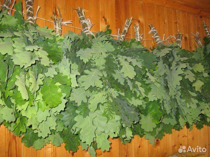 Веники для бани