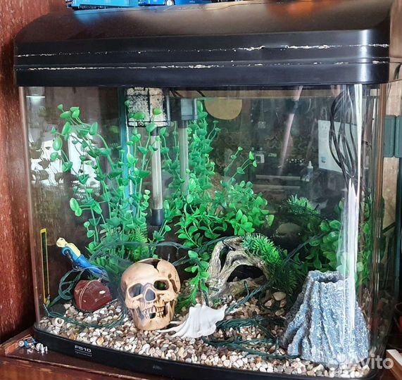 Аквариум AR-F510 объём 80 л. Обмен