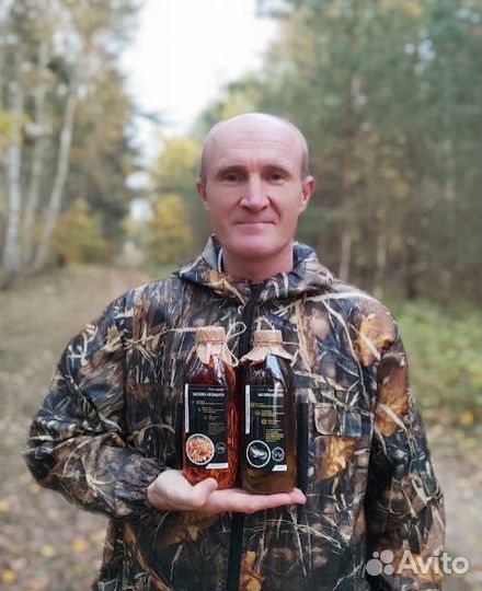 Гриб веселка эноки муэр рейши шиитаке мёд лисичка