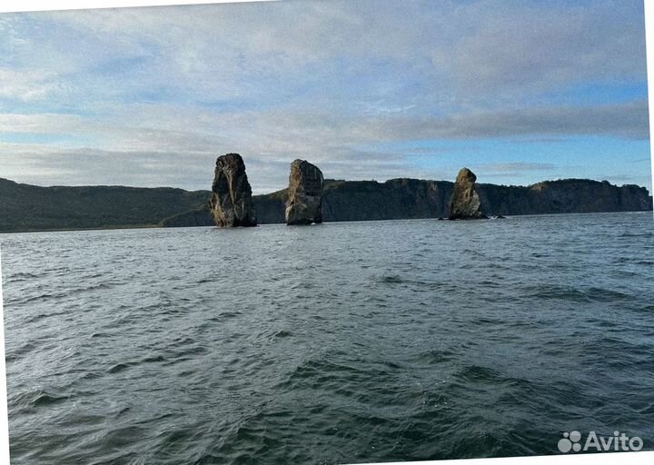 Тур путевка Камчатка летом программы 7-9 дней