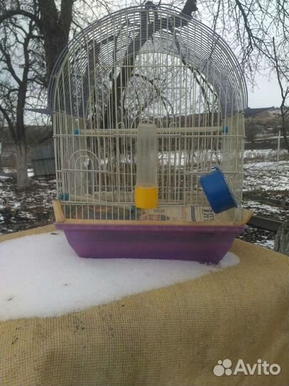 Клетка для птиц бу