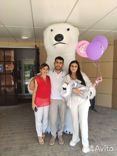 Мишка 2.6м поздравление срочный выезд сейчас