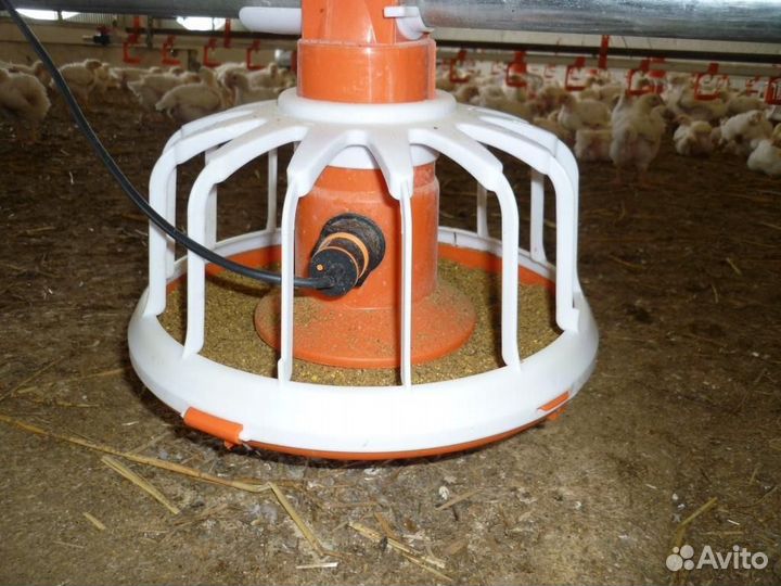 Оборудование для выращивания и содержания птицы