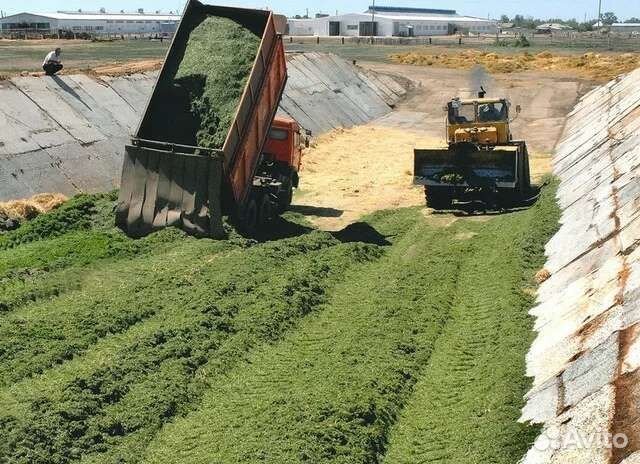 Сенаж и Силос