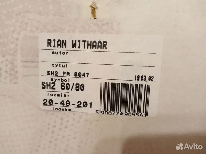 Картина художника Rian Withaar