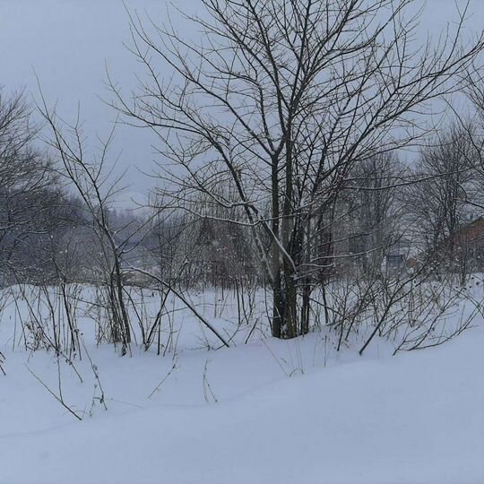 Участок 15 сот. (ИЖС)
