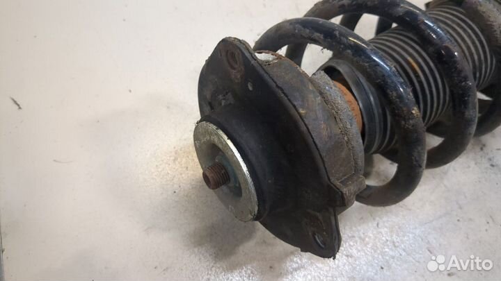 Амортизатор подвески Audi A3 (8P), 2011