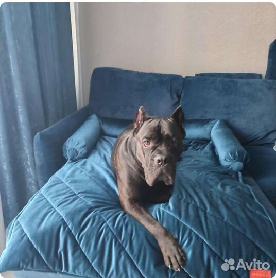 Лежанка для собак и кошек