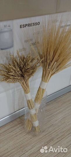 Колосья пшеницы