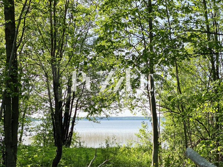 Участок 50 сот. (СНТ, ДНП)