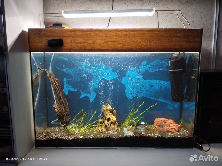 Аквариум на 70 литров