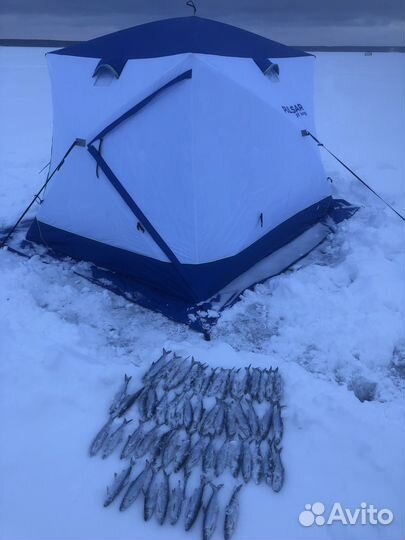 Палатка зимняя pulsar