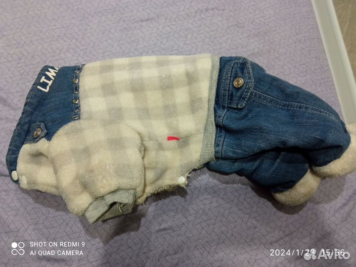 Одежда для собак мелких пород зима