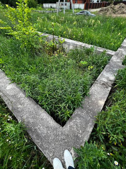 Участок 11,3 сот. (СНТ, ДНП)