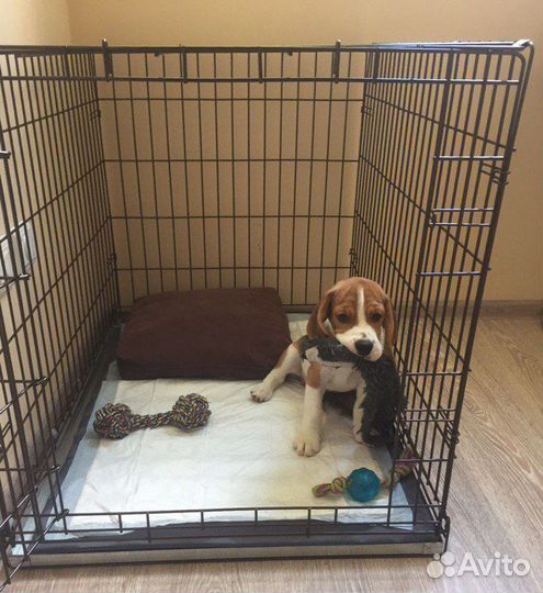 Клетка для животных