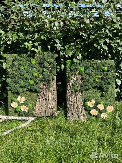 Картина из стабилизированного мха