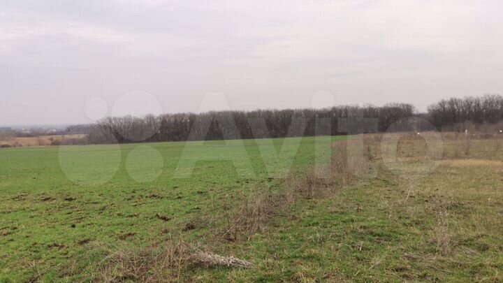 Участок 6,85 га (ИЖС)