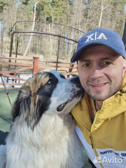 Услуги кинолога с выездом / Зоопсихолог