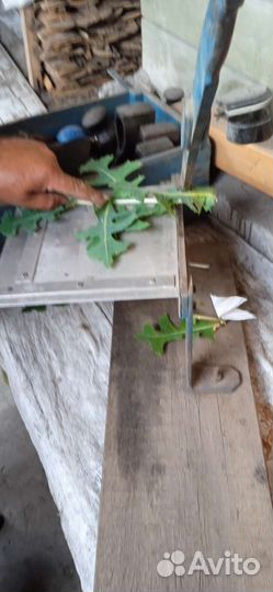 Табакорезка