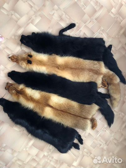 Шкурка лисы