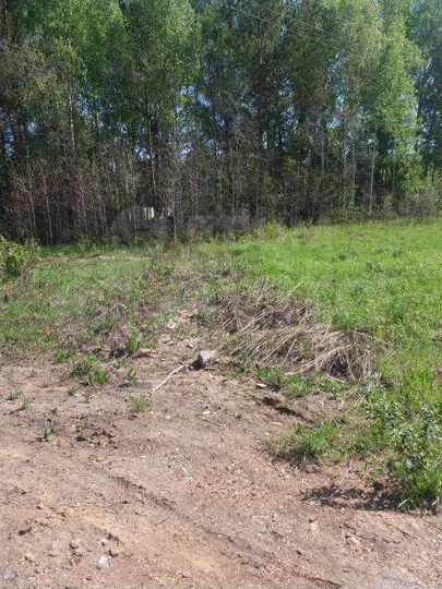 Участок 8,6 сот. (СНТ, ДНП)