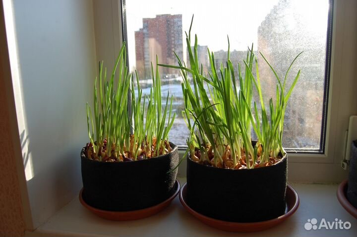 Мешок-горшок и BagPot 1-750 литров