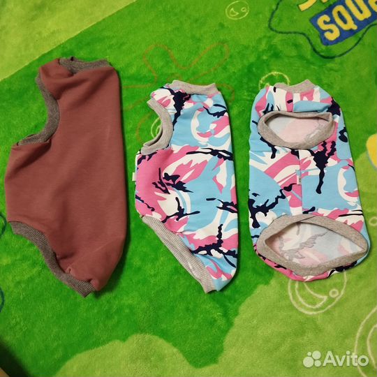 Одежда для кошек сфинкс