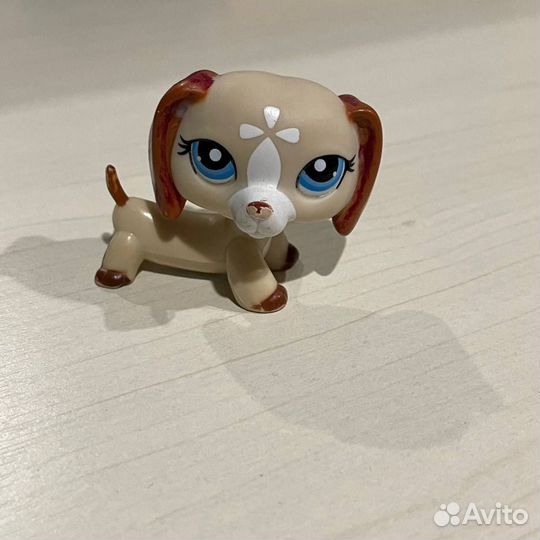 Игрушки Littlest Pet Shop