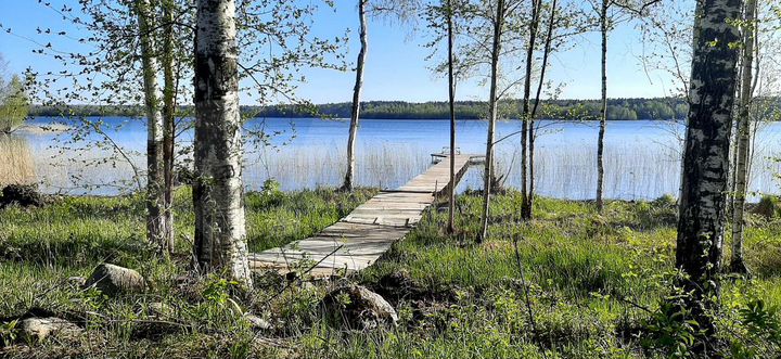 Дом 84 м² на участке 30 сот.