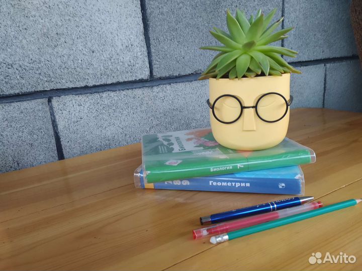 Цветок на рабочий стол ученику/педагогу/в офис