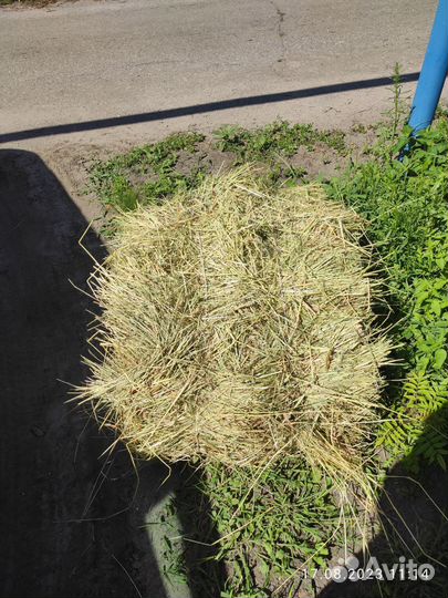Сено луговое в тюках