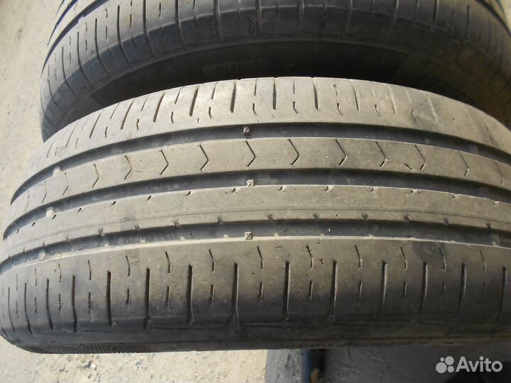 Continental ContiPremiumContact 5 175/65 R14