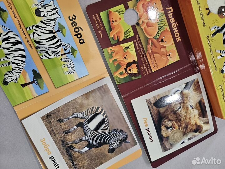 Детская книга clever мои любимые животные