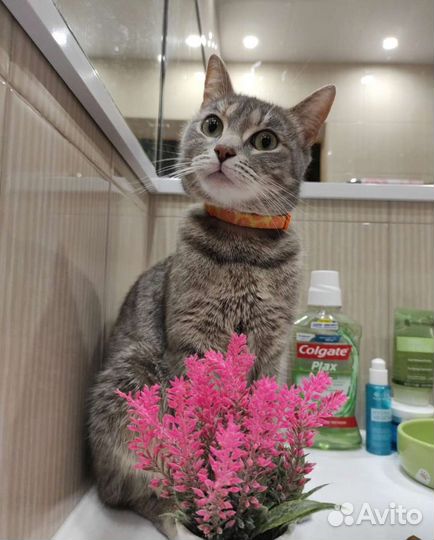 Варюша нежная девочка