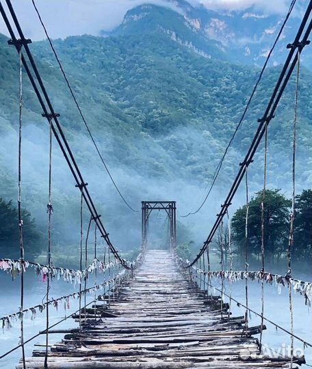 Экскурсии в Абхазию. Озеро Рица и не только