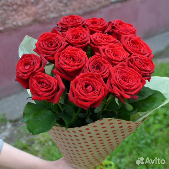 Розы из 15 красных роз Букет цветов Иркутск