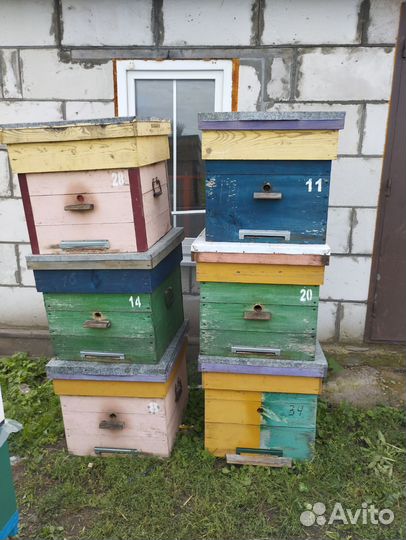 Улей дадан 12